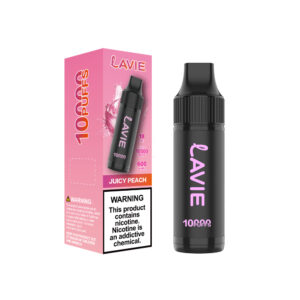 LAVIE 10000 Puffs Rechargeable Device , Type-C Charging, Paintbrush-Inspired Design