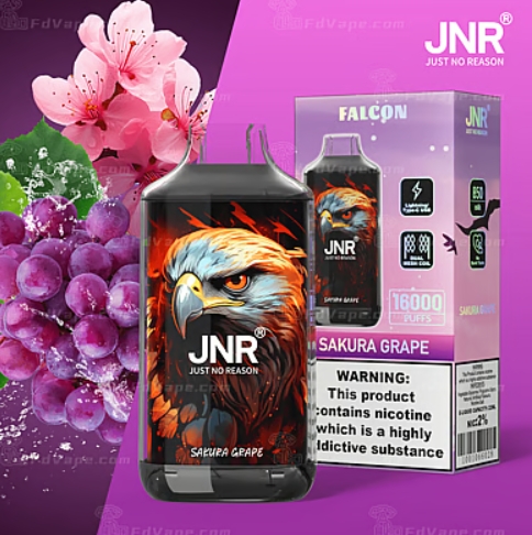 JNR Falcon Approx 16000 Puffs Disposable Vape, Crystal Craft Design, Dual Mesh Coil & Type-C Charging - Image 10