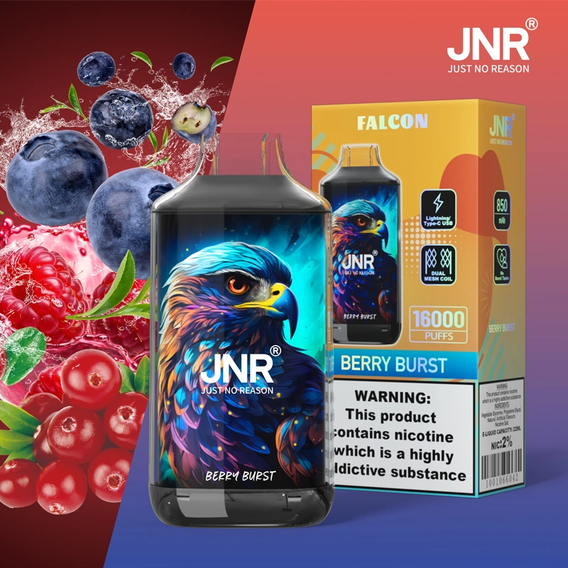 JNR Falcon Approx 16000 Puffs Disposable Vape, Crystal Craft Design, Dual Mesh Coil & Type-C Charging - Image 9