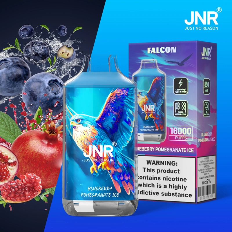 JNR Falcon Approx 16000 Puffs Disposable Vape, Crystal Craft Design, Dual Mesh Coil & Type-C Charging - Image 7
