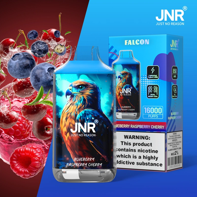 JNR Falcon Approx 16000 Puffs Disposable Vape, Crystal Craft Design, Dual Mesh Coil & Type-C Charging - Image 6