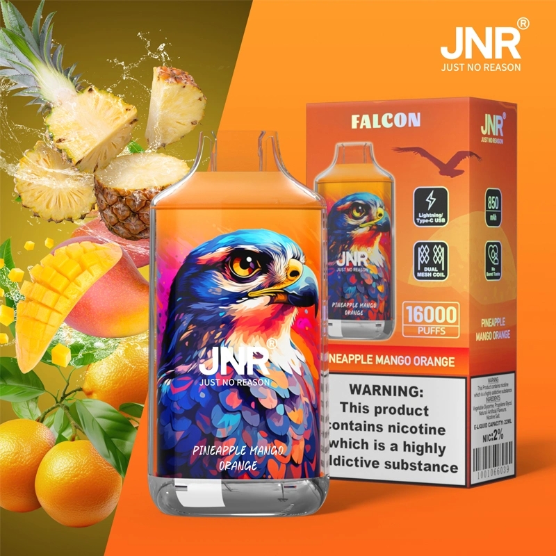 JNR Falcon Approx 16000 Puffs Disposable Vape, Crystal Craft Design, Dual Mesh Coil & Type-C Charging - Image 5