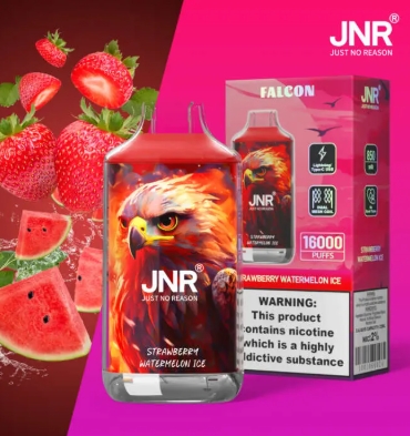JNR Falcon Approx 16000 Puffs Disposable Vape, Crystal Craft Design, Dual Mesh Coil & Type-C Charging - Image 4